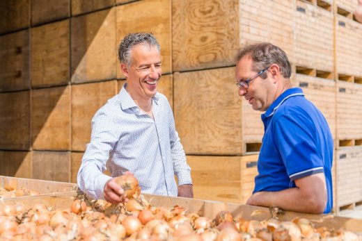 De app Onion Today is klaar en wordt officieel gelanceerd op de Landelijke Uiendag in Colijnsplaat op donderdag 24 augustus. 
